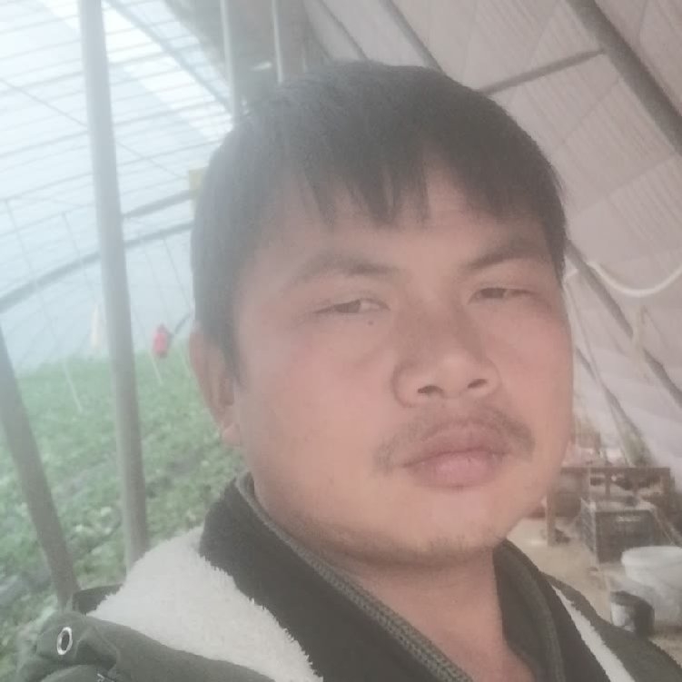 孤狼‘的第一张照片--绍兴相亲服务中心