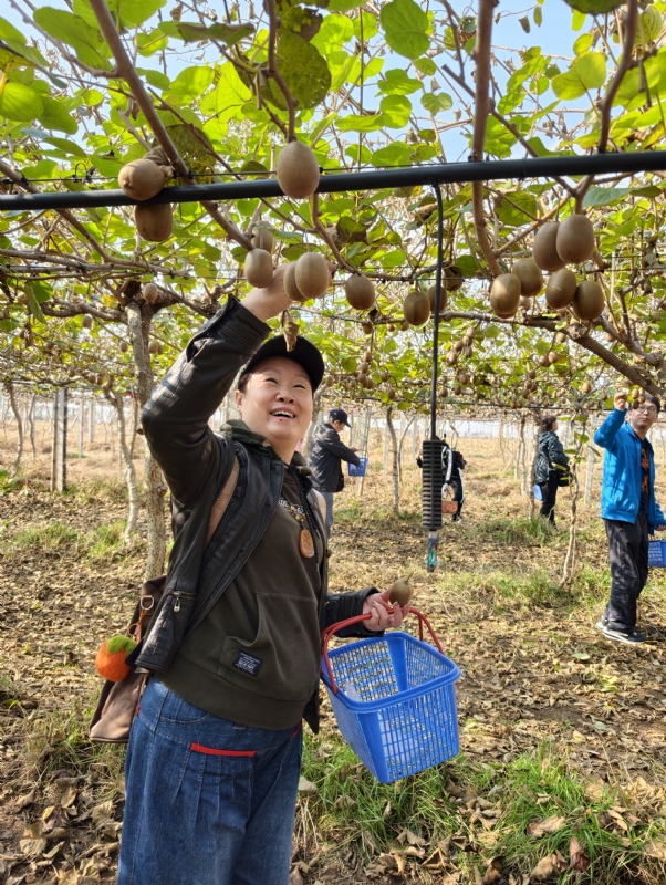 夜莺的第四张照片--绍兴相亲服务中心